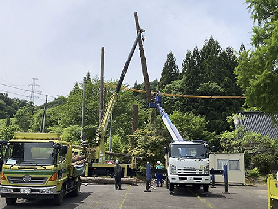 伐採工事
